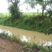 ค่ายโพธิ์สามต้น