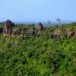 ภูสิงห์