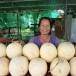 ตลาดแคนตาลูป บ้านบดมาด   