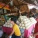 ตลาดแคนตาลูป บ้านบดมาด   