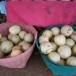 ตลาดแคนตาลูป บ้านบดมาด   
