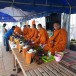 ประเพณีทำบุญเบิกบ้าน ชุมชนตำบลส้มผ่อ อำเภอไทยเจริญ จังหวัดยโสธร