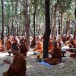 บุญปริวาสกรรม