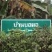 บ้านบอฆอ