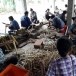 งานประเพณีแข่งเรือยาว วัดกำแพงดิน