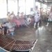ละครชาตรี  วัดโสธรวรารามวรวิหาร