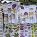 ผ้าพิมพ์ลายใบไม้ธรรมชาติ (อีโค่ พริ้นต์ติ้ง ECO PRINTING)