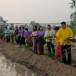 ประเพณีการทำขวัญข้าวและการเซ่นนา อำเภอพิชัย
