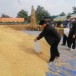 ประเพณีการทำขวัญข้าวและการเซ่นนา อำเภอพิชัย
