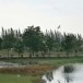 อุทยานหนองหารเฉลิมพระเกียรติ 