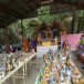 ประเพณีเลี้ยงศาลปู่ตา ตำบลเกาะหวาย