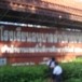 โรงเรียนอนุบาลลำปลายมาศ
