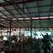 บ้านของเก่าลุงประทุม 
