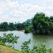 ชื่อบ้านนามเมือง  :  หลังสวน