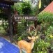 วัดพระธาตุมงคลวนาราม
