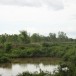 คูน้ำคันดินบ้านดงสิงห์