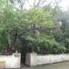สวนรูปปั้นพุทธประวัติวัดเนินหอม