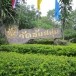 วัดซับสนุ่น