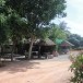 หมู่บ้านบ้านบึงเหนือ ตำบลบ้านคา อำเภอบ้านคา จังหวัดราชบุรี