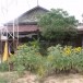 วัดชุมพร