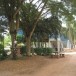 โรงเรียนวัดคู้ลำพัน