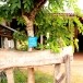 ประวัติบ้านโคกศิลา