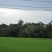 ประวัติบ้านเดื่อ  ต.คลีกลิ้ง  อ.ศิลาลาด  จ.ศรีสะเกษ