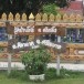 ประวัติวัดบ้านโพธิ์  ต.คลีกลิ้ง  อ.ศิลาลาด  จ.ศรีสะเกษ   