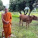 พระครูประยุตศุภการ เจ้าอาวาสวัดร่องคือ