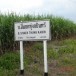 บ้านทุ่งกบินทร์ หมู่ที่ 5 ตำบลวังใหม่