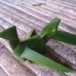 นกจากใบมะพร้าว 