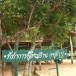 บ้านหนองโคบาลเหนือ  