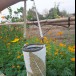 ผ้าพิมพ์สีธรรมชาติ (Ecoprinting by Nongplong)