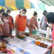 ผ้าพิมพ์สีธรรมชาติ (Ecoprinting by Nongplong)