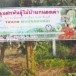 กลุ่มสหพันธุ์ไม้บ้านหนองเต่า