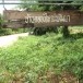 บ้านคลองใหญ่พัฒนา  หมู่ที่ 9 