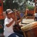 ประเพณีชักพระ