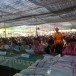 เเทศบาลตำบลแคนดง