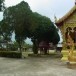 วัดหลู้