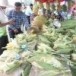งานวันข้าวโพดหวานและของดีศรีรัตนะ ประจำปี 2554