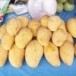 งานวันข้าวโพดหวานและของดีศรีรัตนะ ประจำปี 2554
