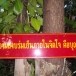 วัดสะพานคำสกลนคร