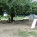โรงเรียนบ้านวังโบสถ์