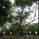 วัดราชายตนบรรพต (วัดเขาต้นเกด)
