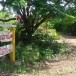 บ้านหนองปลาเข็ง หมู่ที่ 12  ตำบลท่าเกวียน