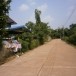 บ้านหนองโข่ย 
