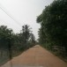 บ้านหนองโข่ย 