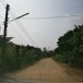 บ้านหนองโข่ย 