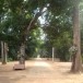 วัดพระธาตุฝุ่น