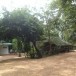 วัดพระธาตุฝุ่น